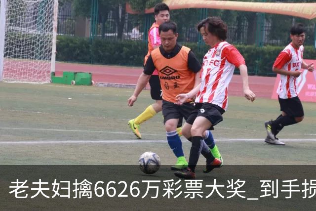 老夫妇擒6626万彩票大奖 到手损失50%决定平分